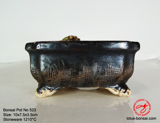 bonsai-pot-on-523c