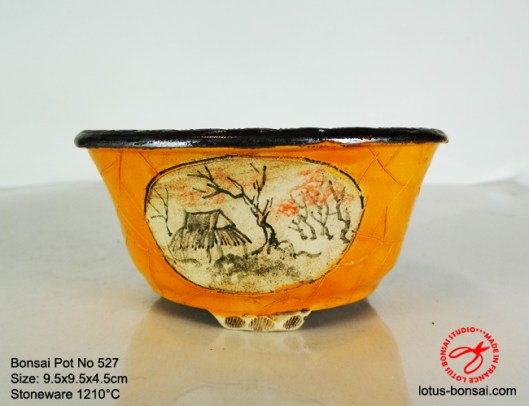 bonsai-pot-on-527