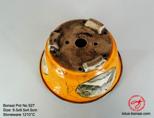 bonsai-pot-on-527d