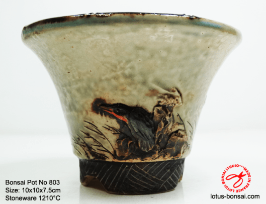 bonsai-pot-no803